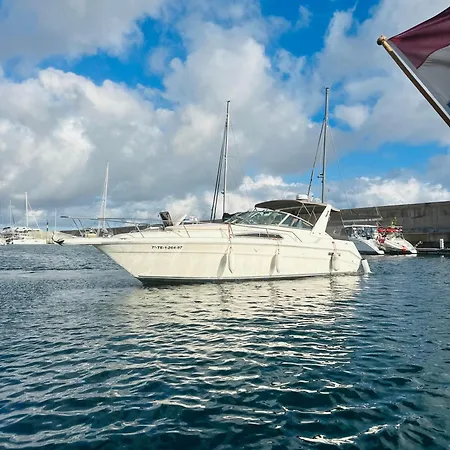 Kala Yacth Experience San Miguel de Abona